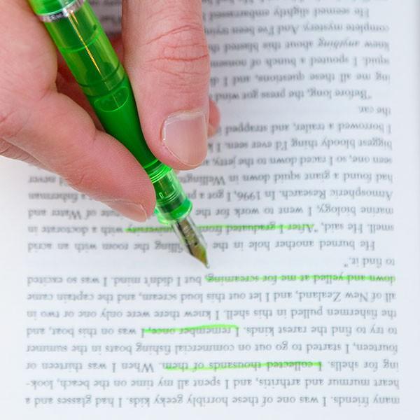 Pelikan（ペリカン） 万年筆 特別生産品 M205 DUO シャイニー