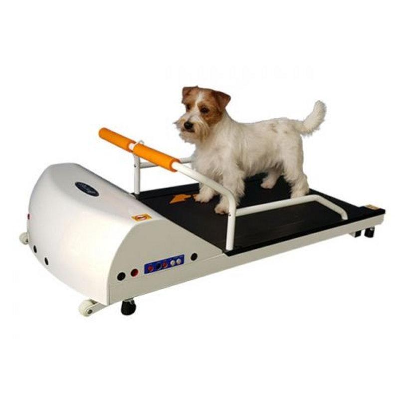 ペットラン PR-700 ［小型犬用運動器］ 全長1m10cm : サンセイヤフー