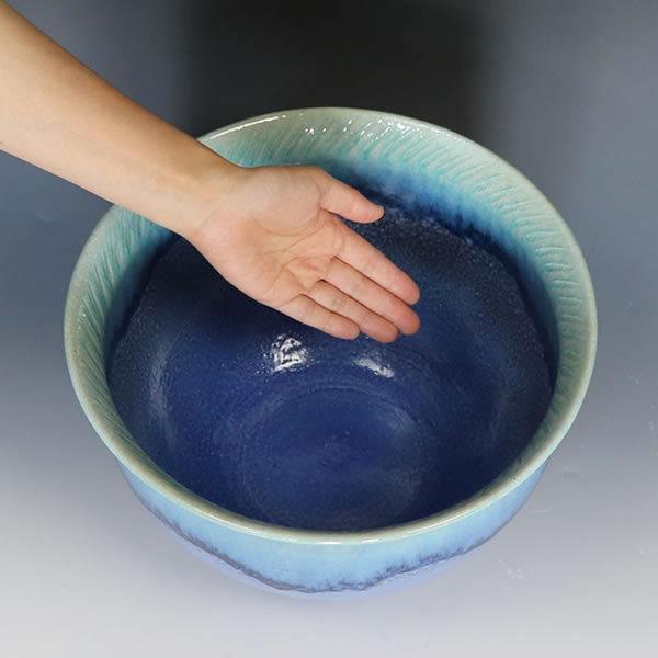 信楽焼 睡蓮鉢 メダカ鉢 おしゃれ めだか鉢 陶器 水鉢 ビオトープ