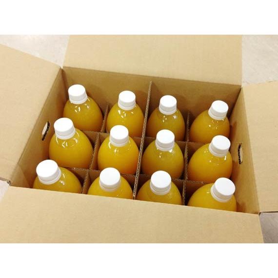 愛媛 みかんジュース ストレート 500ml 12本入 無添加 果汁100％ 送料