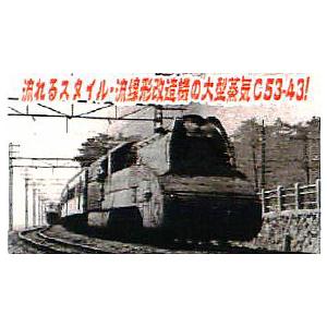 マイクロエース A-7007 C53 43 流線型 改良品 鉄道模型)マイクロエース