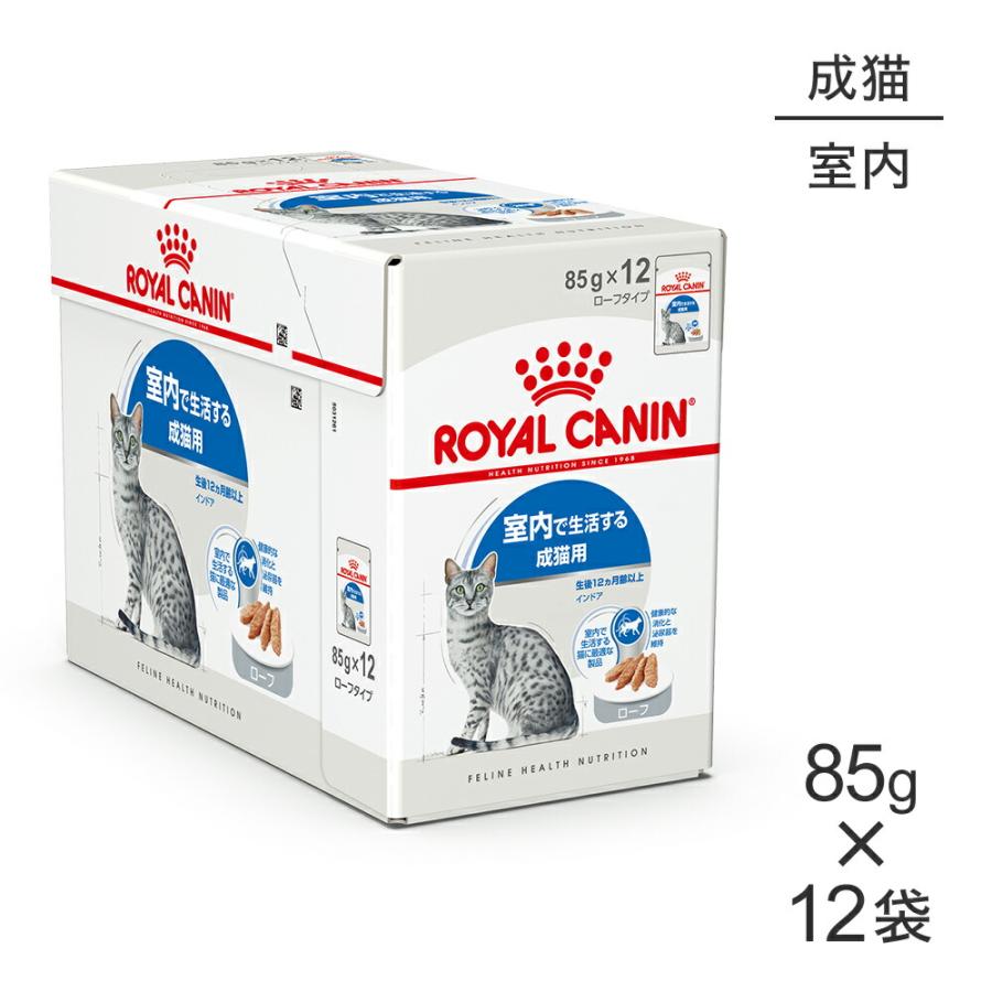 6月9日22時取り下げ】ロイヤルカナン 猫用インドア4キロ×2個未開封