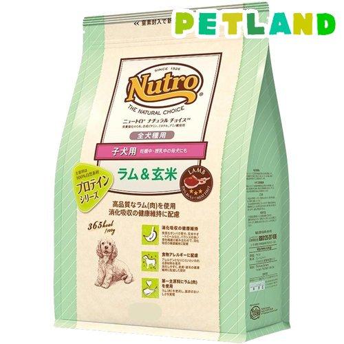 ニュートロ ナチュラルチョイス ラム&玄米 子犬用 妊娠中・授乳中の母