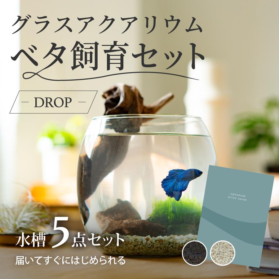 WWW AQUA 水槽 オールインワン アクアリウム ベタ ジオラマ 観賞魚