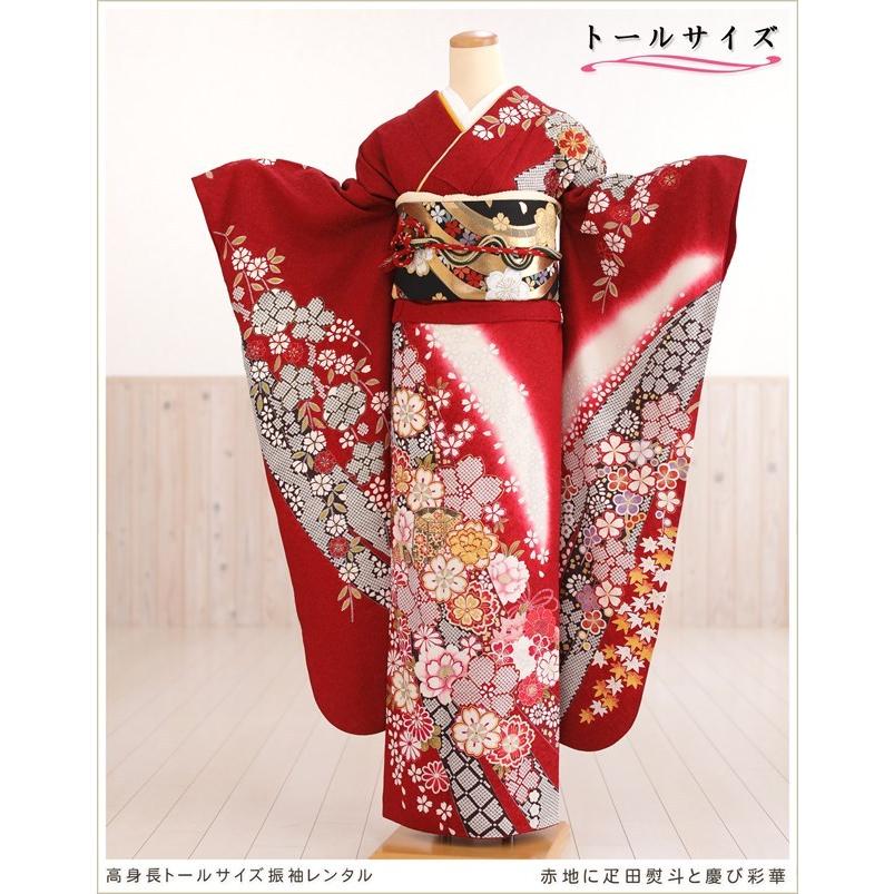 高身長トールサイズ 成人式 振袖レンタル 1月 お正月 fb1305s 振り袖