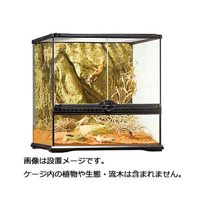 GEX（ジェックス） 【全国送料無料】 エキゾテラ グラステラリウム