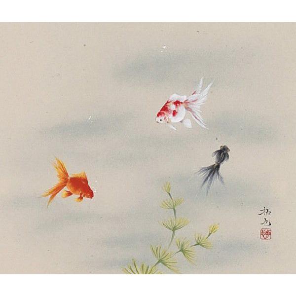 掛け軸専門店 掛軸 通販 金魚（奥田 拓也） 夏用掛軸 日本画 全国送料