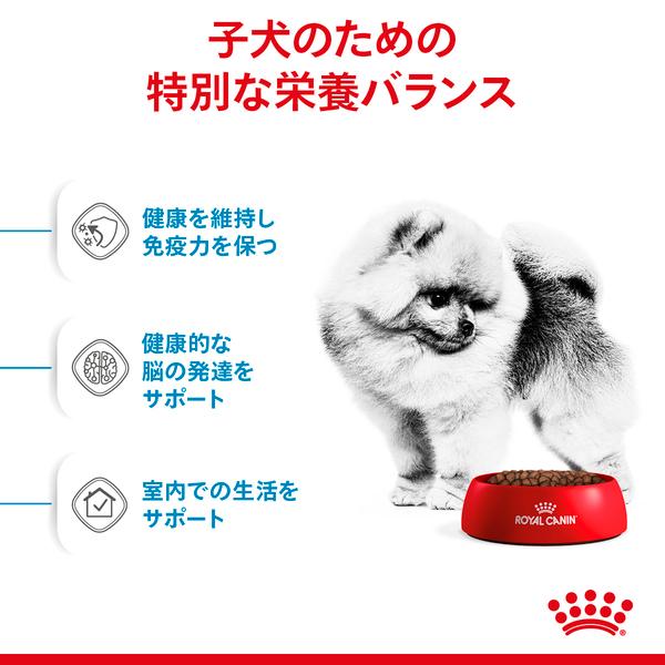 ロイヤルカナン（ROYAL CANIN） ミニ インドア パピー800g ジッパー