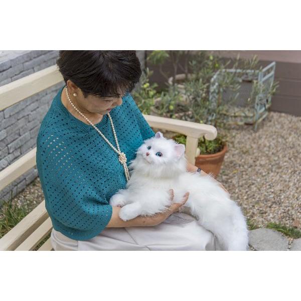 あなたに幸せ呼ぶ光の天使猫 購入特典電池10本付き！】あなたの