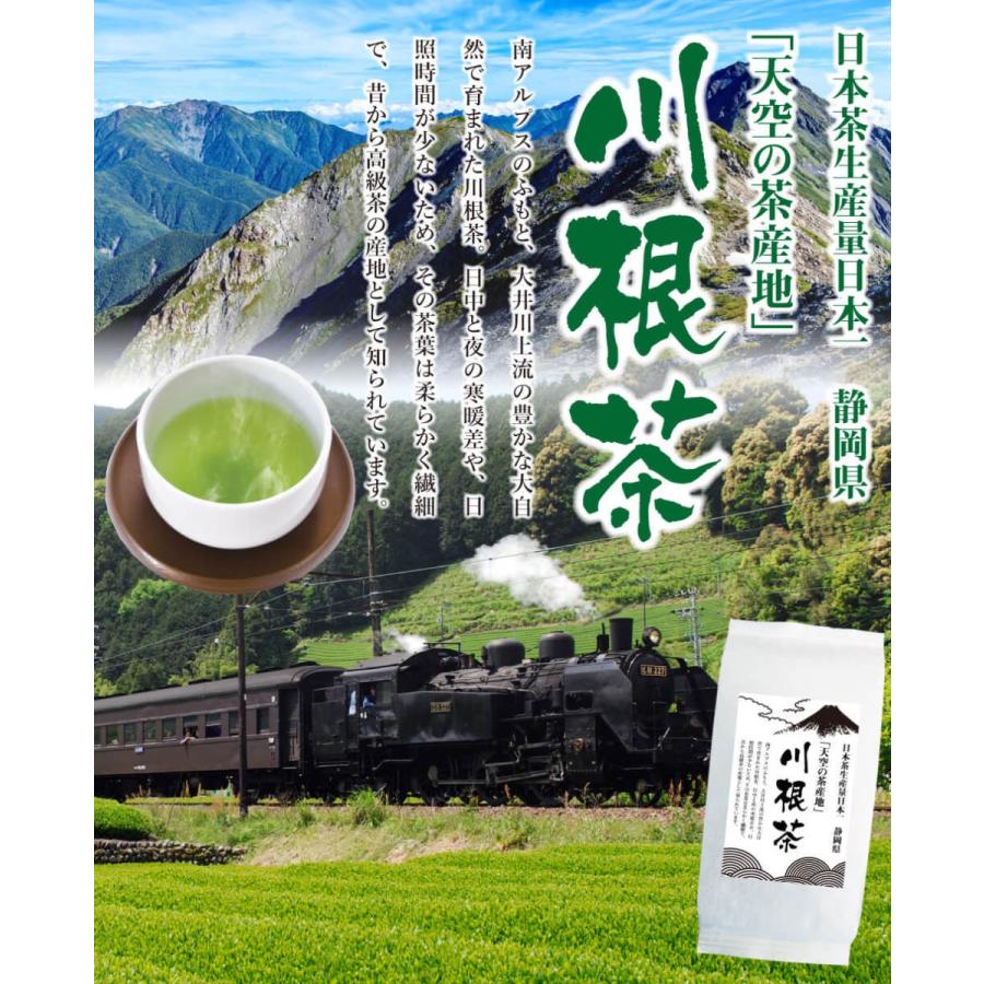 送料無料 川根茶 100g×1袋 お茶 緑茶 煎茶 茶 茶葉 お茶葉 静岡 川根