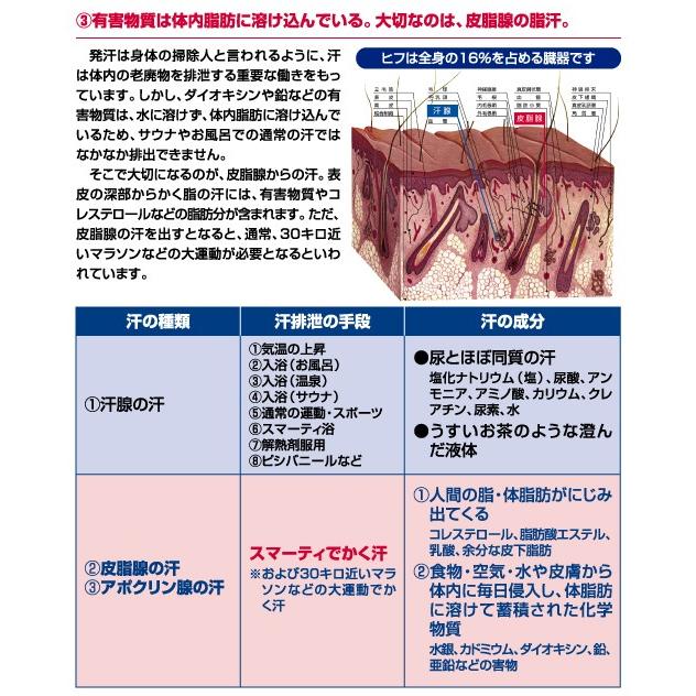 フジカ スマーティ F4-A5型 遠赤外線ドーム型サウナ まっすぐ