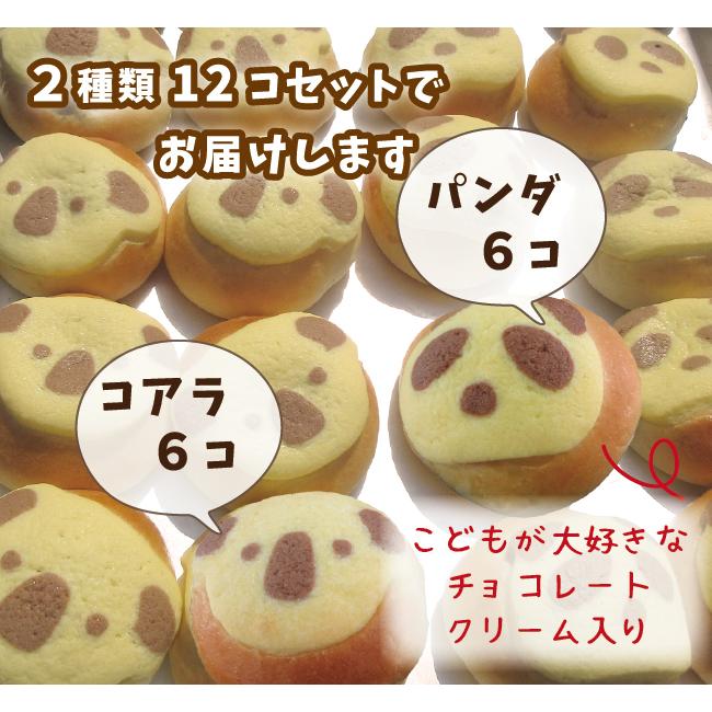 パンセット パンダとコアラ こどもに大人気 かわいいパン 冷凍パン