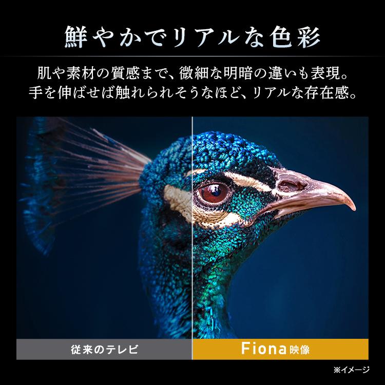 IRIS OHYAMA（アイリスオーヤマ） テレビ 24型 TV 液晶 液晶テレビ 24