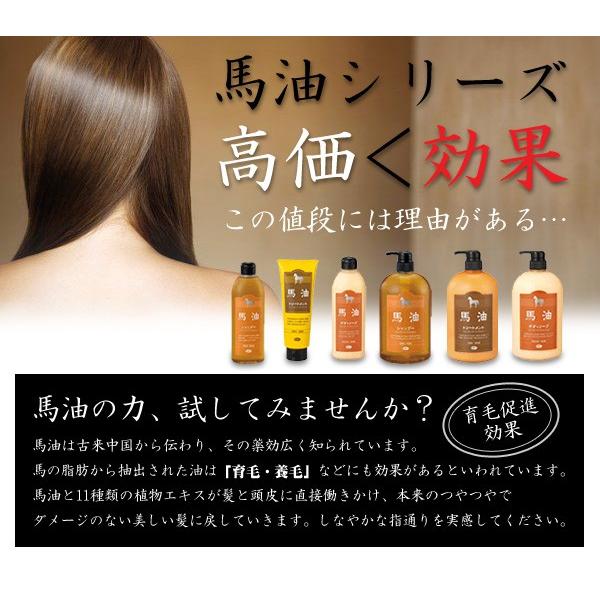 アズマ商事 馬油シャンプー・トリートメントセット : タングラム Yahoo