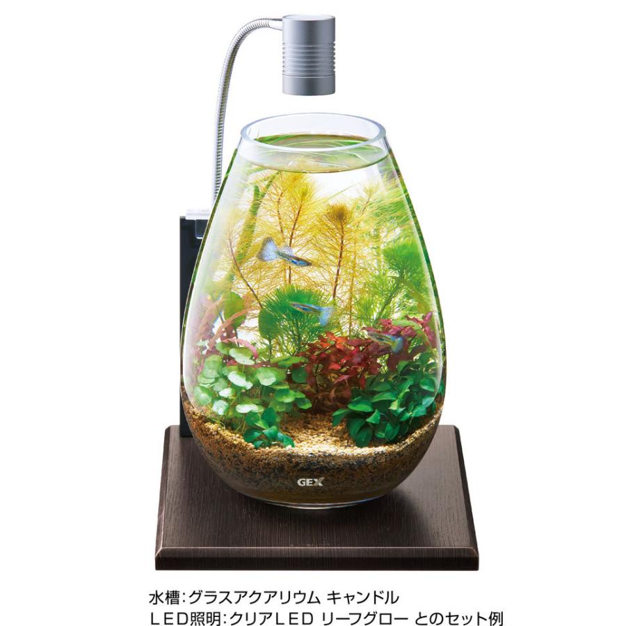 ガラス水槽 小型 水草・岩レイアウト LEDライト付き 楽天市場
