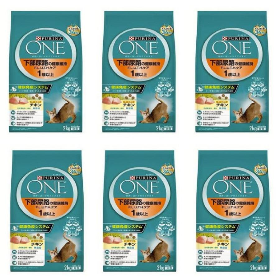 ピュリナワン 6袋セット 下部尿路 健康維持 FLUTH チキン ピュリナ