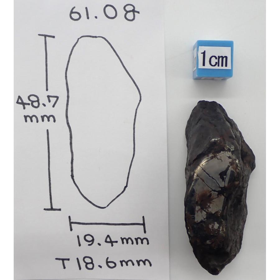 通販限定】オデッサ隕石 61g サビあり Odessa Meteorite : 宇宙村