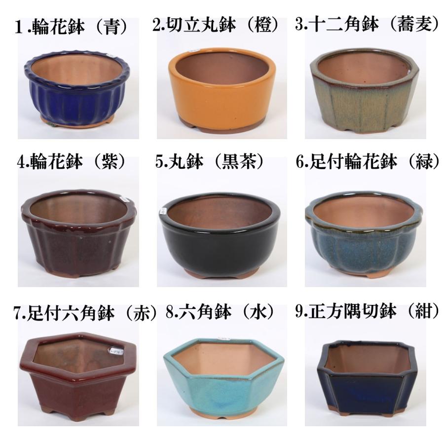 特価鉢：中国中深鉢 5号＊資材 : 遊恵盆栽 Yahoo!店 - 通販 - Yahoo