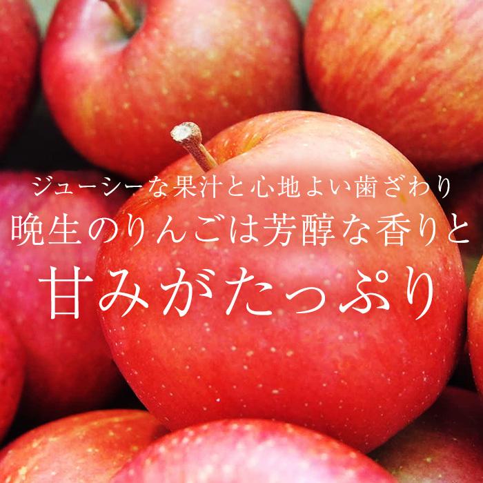 りんご サンふじ 王林 MIX 青森県産 特A 約3kg 9〜12玉 : 産直