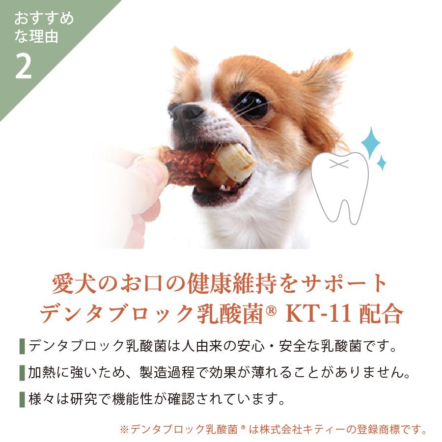 国産 鹿肉 ドッグフード ギフトナー ベニソンレシピ 900g 小粒 GIFTNER