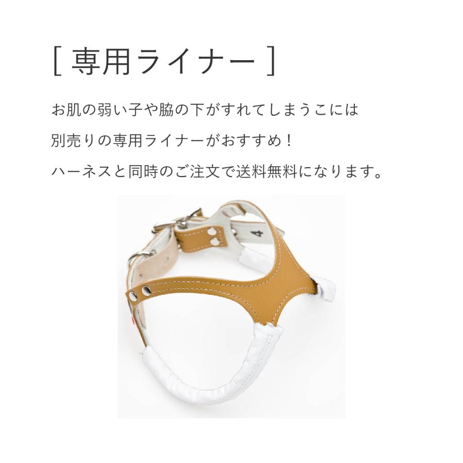 buddybelt（バディベルト）ハーネス 2.5号 プレミアム : 谷根犬 犬服