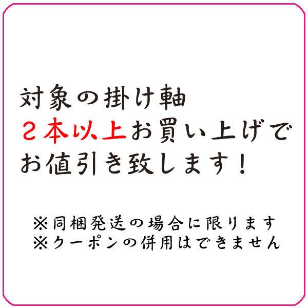 掛軸 (掛け軸) 山響瀑聲（さんきょうばくすい） 中川幸彦 尺五立 約横
