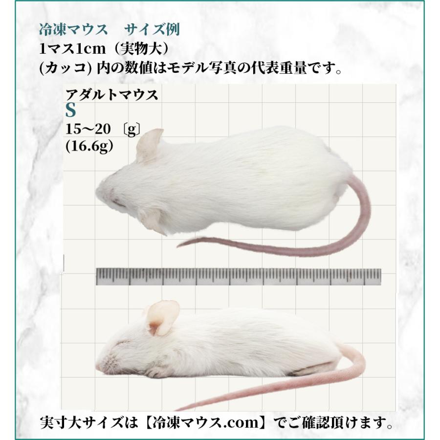 ZAZOO 国産 冷凍マウス アダルトS 15〜20g 約7.5cm 真空 個別包装