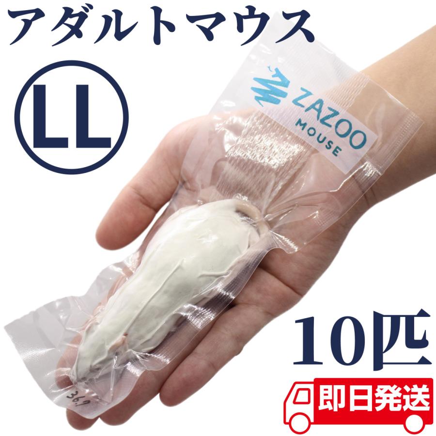 ZAZOO 国産 冷凍マウス アダルトLL 35g〜40g 9.5cm 真空 個別包装