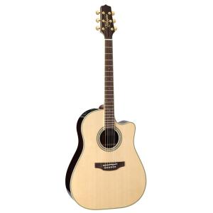 Takamine NPT-110 エレアコ/タカミネ/店頭/他モール併売《楽器・山城店