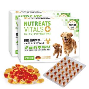 120粒】【あすつく】アンチノールプラス アンチノールplus 犬用
