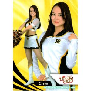 ドリームオーダー 末包ssp ドリームオーダー 末包ssp 2025年最新】ssp