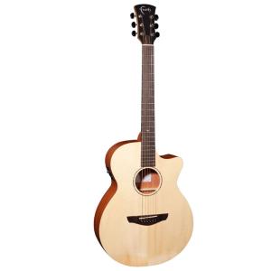 Takamine NPT-110 エレアコ/タカミネ/店頭/他モール併売《楽器・山城店