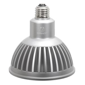 volxjapan（ボルクスジャパン） Grassy LeDio RX122