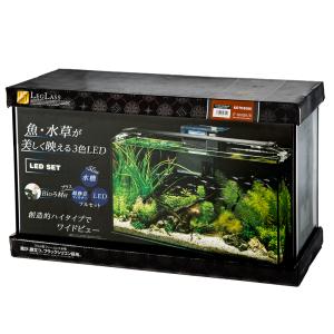 ニッソー ニッソー スティングレー450H LED熱帯魚セット