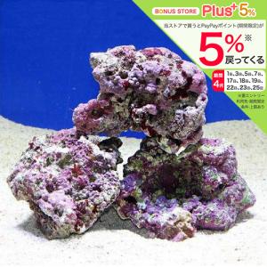 ライブロックのおすすめ人気商品一覧 通販 - Yahoo!ショッピング