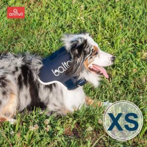 anifull 公式】 アニサポ ヒップ XSサイズ 小型犬向け アニフル ダイヤ