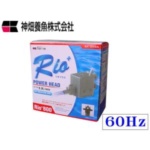 カミハタ Rio+3100 60Hz リオプラス 水中ポンプ 送料無料 管理60