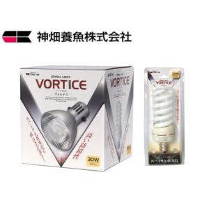 コトブキ工芸 レイマックス 900 RAYMAX 24時間自動調光 送料無料