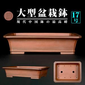 紫泥胴紐丸鉢〔宜興松亭自造〕 盆栽鉢 鉢 植木鉢 bonsaipot pot 中国鉢