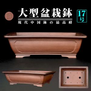 盆栽鉢 紫泥外縁隅切額面長方鉢 植木鉢 中国鉢 張氏製陶 落款あり 13号