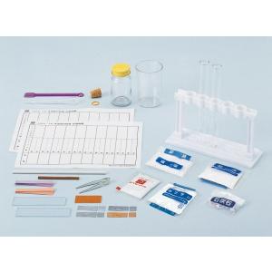 血液循環系模型 透視式 : 学林舎 - 通販 - Yahoo!ショッピング