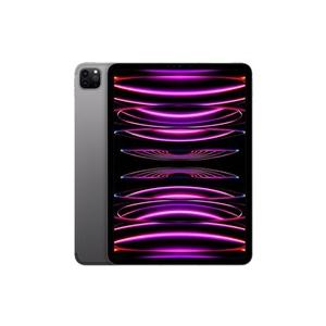 iPad Pro 11インチ 第4世代 Wi-Fi 1TB 2022年秋モデル MNXK3J/A