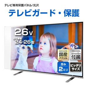 ニデック 反射防止膜付き液晶テレビ保護パネル レクアガード 主に