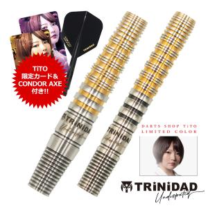 TRiNiDAD PRO(トリニダード プロ) JOHN Type2(ジョン タイプ2) 2BA