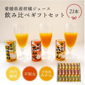 愛媛県産みかんジュース2種詰め合わせ 720ml 12本セット 愛媛県産柑橘