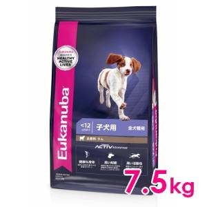 ユーカヌバ ラージ パピー 15kg 子犬用 大型犬用 〜24ヶ月まで