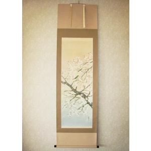 掛け軸 掛軸 桜に小鳥 浅井新明 (真作・新品) : 掛け軸の専門店 香遊