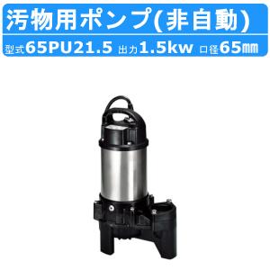荏原製作所 20HPE0.15S HPE型 浅井戸用インバータポンプ 150W 単相100V