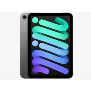 Apple iPad mini 第7世代 Wi-Fi 128GB MXN63JA スペースグレイ【お