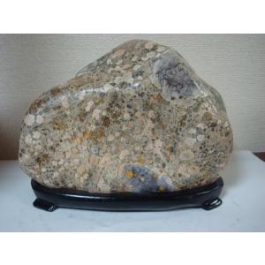 越前紋石20 : 白山紋石庵 - 通販 - Yahoo!ショッピング